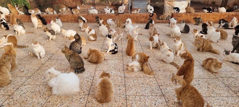 SyrianSanctuary's tweet photo. Me and my work 🤓 https://t.co/KhJrCT56yN