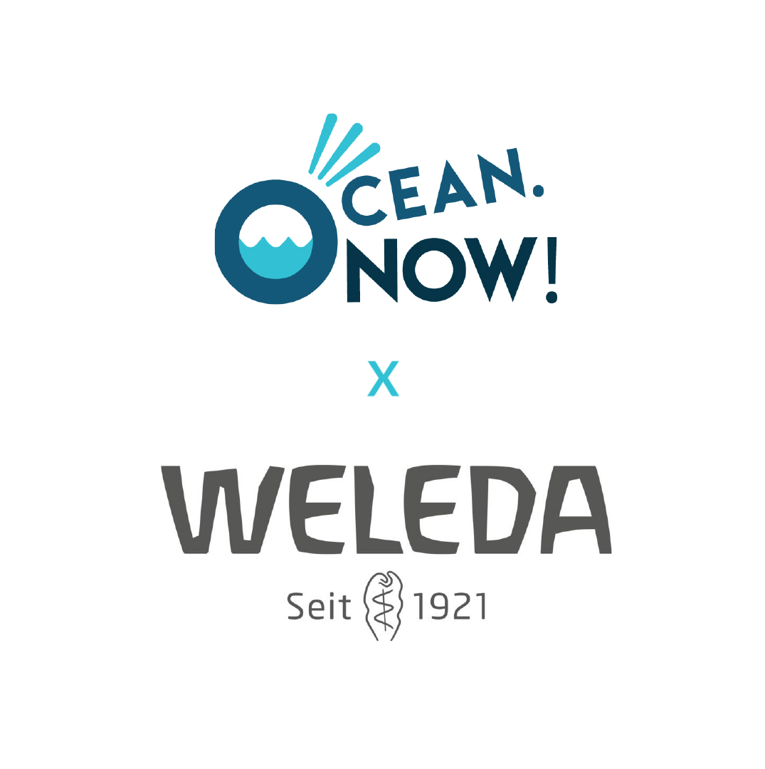 now_ocean's tweet photo. We are very happy to communicate our new partnership with @Weleda_D. 🙌They support our request to #banmicroplastics - solid + liquid - from cosmetics. We could not be more grateful to have a voice by a team of experts on board who can bring 100 years of expertise with it.💙🌍❤️ https://t.co/Rj1WAjNBWo
