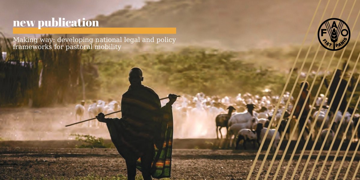 🎉A new FAO publication on pastoralism is out!
The handbook "Making way:developing national legal and policy frameworks for pastoral mobility" was co-authored by Michael Odhiambo and Pablo Manzano and developed with the contributions of Yolda Initiative among other collaborators.