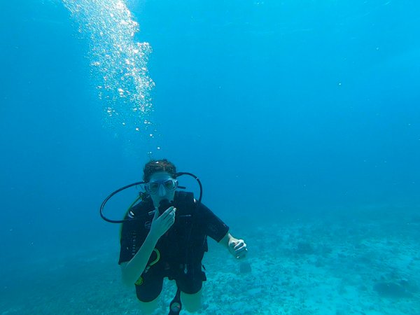 MACBA | Museu | BCN tweet media