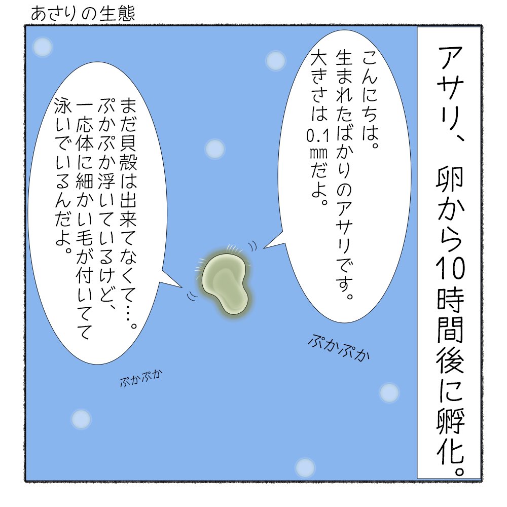 サカナシティ Sakanacity Twitter