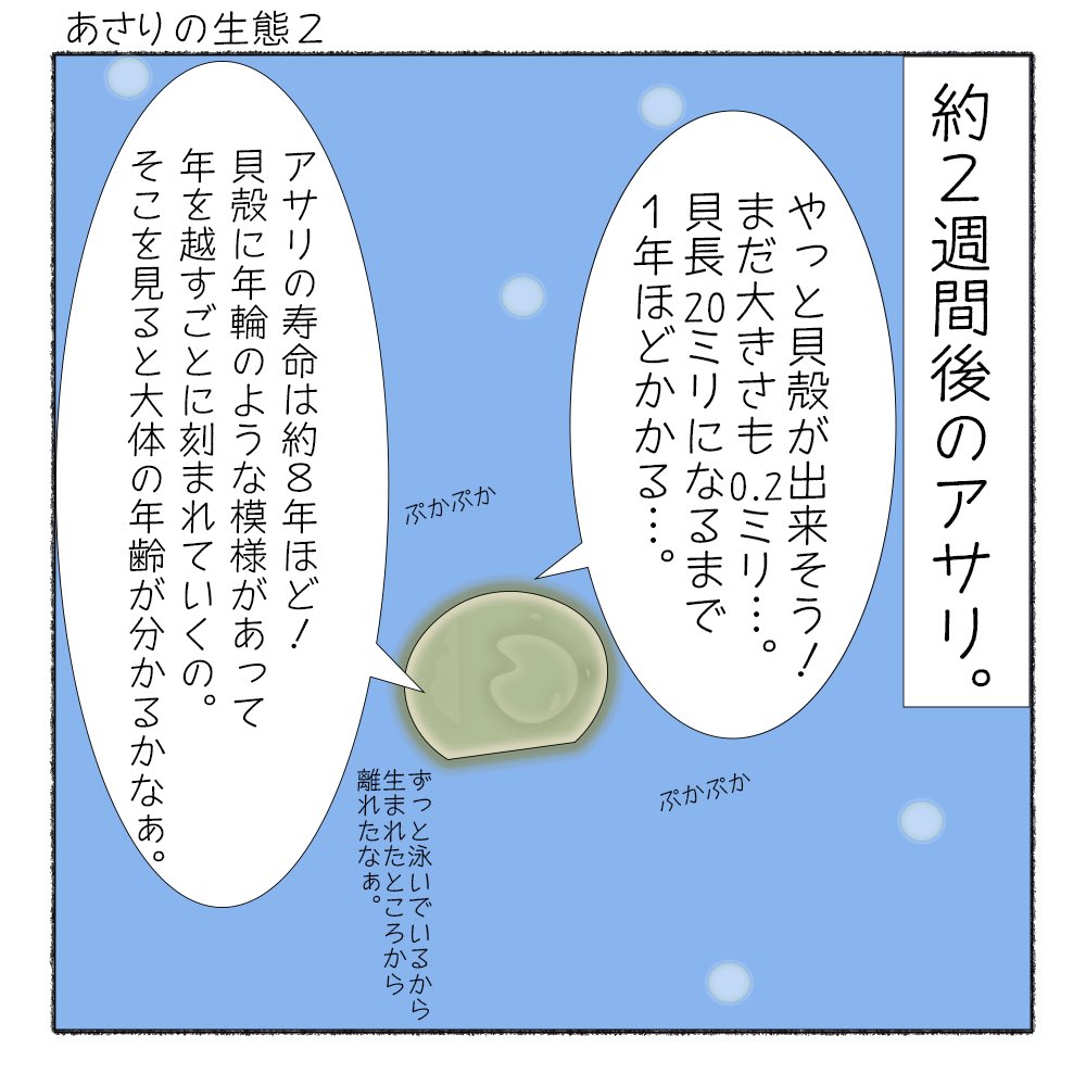 サカナシティ Sakanacity Twitter