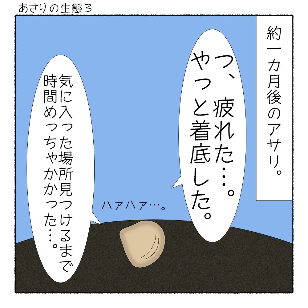 サカナシティ あさりの生態 生まれたばかりのアサリは海を漂います T Co Trbqhhxsty あさりの潮干狩りの記事を公開しました 服装や採り方など掲載中です 春になると潮干狩りのシーズン ぜひ 覗いてみてください 漫画が読めるハッシュ