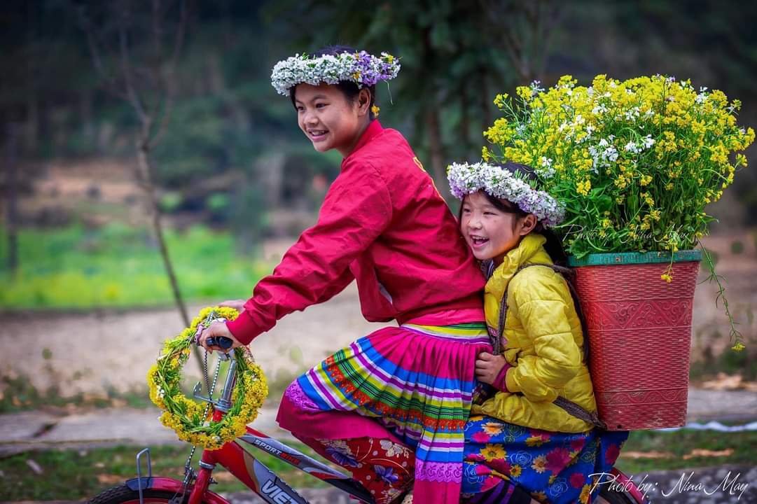 HA NGUYEN (@ncharolletes) on Twitter photo 