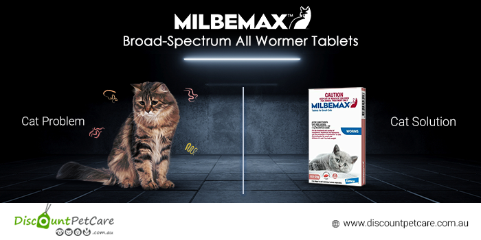 DiscPetCareAU's tweet photo. Treat your feline cuddly buddies with just one tiny tablet every 3 months and provide them the broad-spectrum protection against common intestinal worms!π
Shop Now: https://t.co/8caXSsZM8b
#milbemax #cat #CatsOnTwitter #kittensoftwitter #wormer #heartworm #products https://t.co/6yPwhkFZXL
