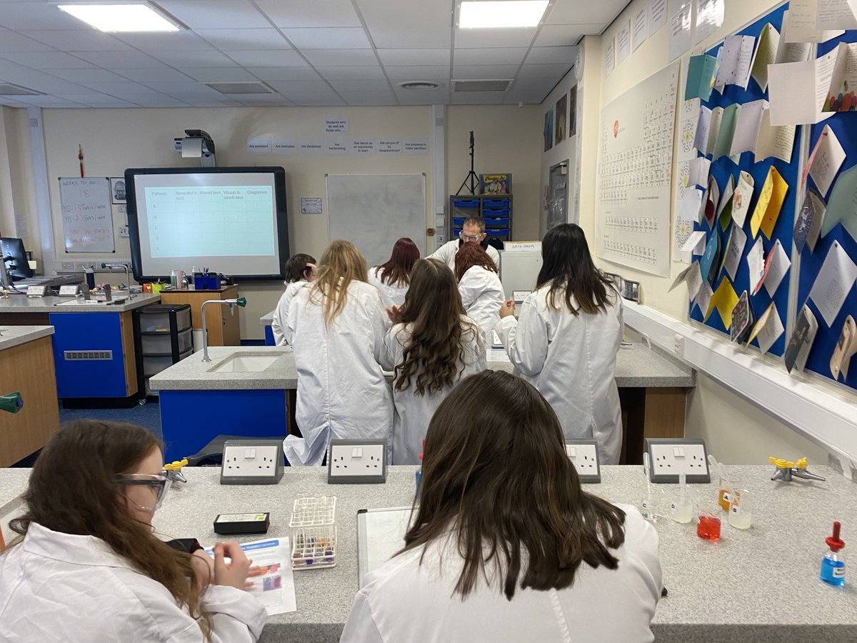 kathryn mellett tweet media