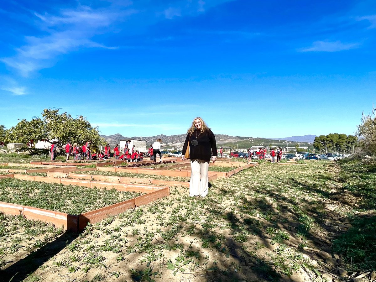 Colegio El Pinar tweet media