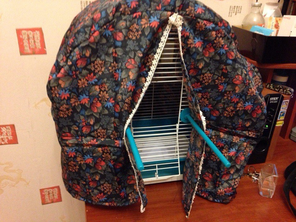 можно ли накрывать клетку. накрытый попугай. накрыть клетку с попугаем тряпкой. обустроенная клетка для крысы. накрыть клетку с попугаем на ночь.