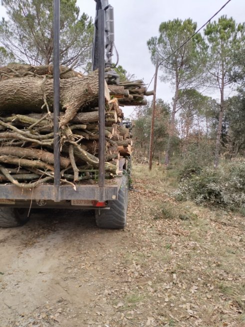 Alameda Torrent SLU tweet media