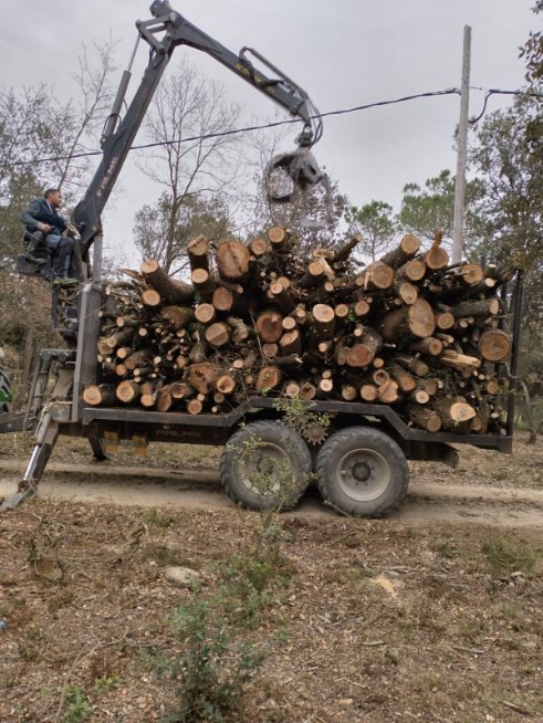 Alameda Torrent SLU tweet media