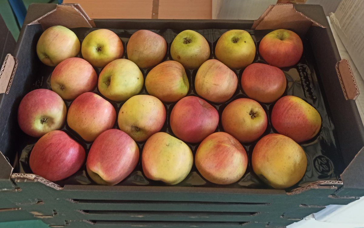 CEIP Tierno Galván tweet media