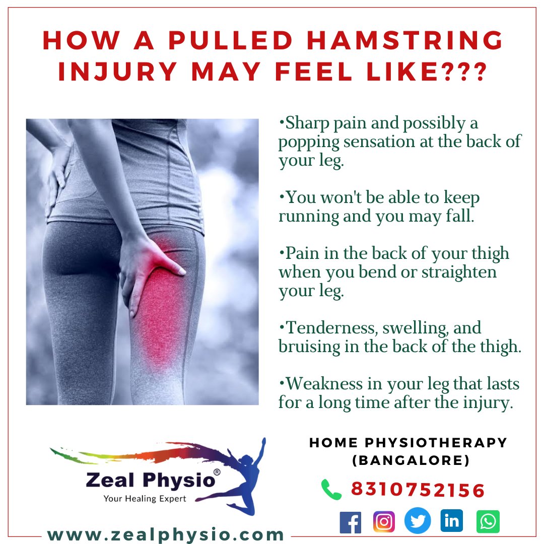zealPhysio's tweet image. It is important to consider rehabilitation at home with a therapist to return full range of motion and power to the hamstring muscles. #pulledhamstring #exercises #rehabilitation #physicaltherapy #homecare #bangalore