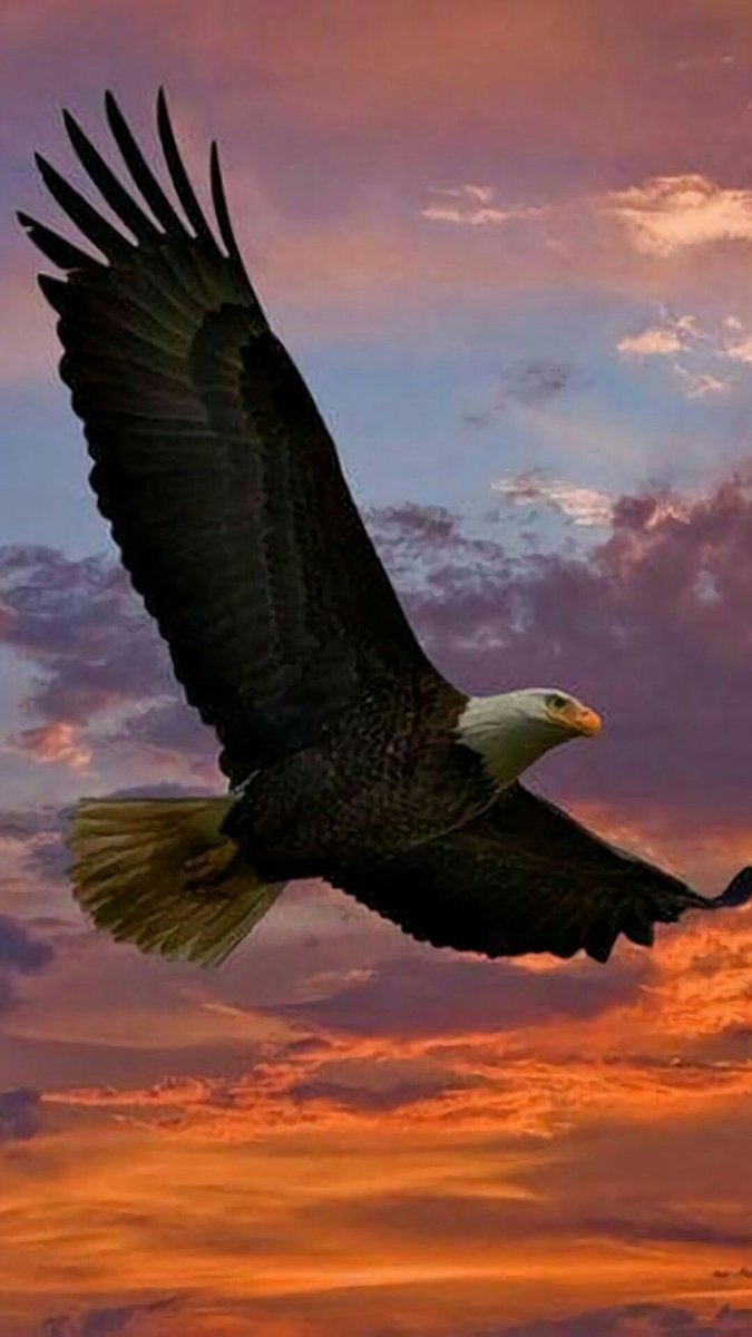 Derek Paterson (@derekpa30582481) on Twitter photo <a href="/szentandrassym/">🌞 Sophie S 🌴</a> <a href="/Titas37/">Benito -</a> @crosiglia <a href="/MyYellowDreams2/">My Yellow Dreams</a> <a href="/TeresaR86980558/">Teresa Roberts</a> <a href="/HarcourtDoug/">Doug</a> <a href="/ManiarMuhammad/">Aafiny MZM</a> <a href="/Adele47018578/">Adele & Art</a> <a href="/rpskataria/">Ramphal Kataria رامپھل کٹاریا</a> <a href="/BabyGo2014/">Baby Go</a> <a href="/debratankersle1/">debra tankersley</a> @gerrinnesmac <a href="/pkamla1/">Kamla</a> <a href="/Muhamma53074277/">Engr Muhammad Naeem Khan.</a> <a href="/kalimullah2/">Kalimullah</a> <a href="/unklpetey/">UNKL PETEY JINGOIST</a> @GarauPina <a href="/putopreto799/">Carlos Domingos</a> <a href="/BruynChantal/">De Bruyn Chantal</a> <a href="/JeanetteJoy/">Jeanette JOY☮️</a> <a href="/maryrhoton/">Motormouth 2</a> <a href="/nighthawkgeoff/">Geoff Morris - #FBPE</a> <a href="/SKID1144/">OLIVERESKRIDGE</a> <a href="/MichelleHillie9/">Michelle@Ryder</a> <a href="/Cambuci60/">Arty</a> <a href="/B_D_Jha/">B D Jha</a> <a href="/PSeabra52/">Parrot seabra52</a> <a href="/CarlosD55587122/">Carlos Domingos</a> <a href="/NinePetanque/">françoise</a> <a href="/salahsa62527100/">Kamal Ali</a> <a href="/loveGoldenHeart/">💛Christina Goebel, M.A.</a> <a href="/QL1wBZCUsCudbqm/">バイク</a> @BarbaraLoraineN <a href="/duabusan/">Alberto</a> <a href="/CarlosD98904330/">Carlos Domingos</a> <a href="/pemamasih1/">Pema@masih</a> <a href="/kelebek_mavi10/">🦋KelebeK🦋</a> <a href="/663Renegade/">Anna</a> <a href="/VanCity6042/">🇨🇦🇨🇦VanCity-604🇨🇦🇨🇦</a> <a href="/LudmilaKliegl/">Ludmila Kliegl..*( Lida)</a> <a href="/time_tested123/">HK</a> @WhatYouWantNowU @helensmomma <a href="/Castle_Peach/">Peaches 🏳️🌈</a> <a href="/CarlosD09817179/">Carlos DOMINGOS</a> <a href="/Jonspreadlove/">Jon Snow not bc I am cool but bc I KNOW NOTHING</a> <a href="/CarlosD51140632/">Carlos Domingos</a> <a href="/szentandrassym/">🌞 Sophie S 🌴</a> <a href="/Titas37/">Benito -</a> @crosiglia <a href="/MyYellowDreams2/">My Yellow Dreams</a> <a href="/TeresaR86980558/">Teresa Roberts</a> <a href="/HarcourtDoug/">Doug</a> <a href="/ManiarMuhammad/">Aafiny MZM</a> <a href="/Adele47018578/">Adele & Art</a> <a href="/rpskataria/">Ramphal Kataria رامپھل کٹاریا</a> <a href="/BabyGo2014/">Baby Go</a> <a href="/debratankersle1/">debra tankersley</a> @gerrinnesmac <a href="/pkamla1/">Kamla</a> <a href="/Muhamma53074277/">Engr Muhammad Naeem Khan.</a> <a href="/kalimullah2/">Kalimullah</a> <a href="/unklpetey/">UNKL PETEY JINGOIST</a> @GarauPina <a href="/putopreto799/">Carlos Domingos</a> <a href="/BruynChantal/">De Bruyn Chantal</a> <a href="/JeanetteJoy/">Jeanette JOY☮️</a> <a href="/maryrhoton/">Motormouth 2</a> <a href="/nighthawkgeoff/">Geoff Morris - #FBPE</a> <a href="/SKID1144/">OLIVERESKRIDGE</a> <a href="/MichelleHillie9/">Michelle@Ryder</a> <a href="/Cambuci60/">Arty</a> <a href="/B_D_Jha/">B D Jha</a> <a href="/PSeabra52/">Parrot seabra52</a> <a href="/CarlosD55587122/">Carlos Domingos</a> <a href="/NinePetanque/">françoise</a> <a href="/salahsa62527100/">Kamal Ali</a> <a href="/loveGoldenHeart/">💛Christina Goebel, M.A.</a> <a href="/QL1wBZCUsCudbqm/">バイク</a> @BarbaraLoraineN <a href="/duabusan/">Alberto</a> <a href="/CarlosD98904330/">Carlos Domingos</a> <a href="/pemamasih1/">Pema@masih</a> <a href="/kelebek_mavi10/">🦋KelebeK🦋</a> <a href="/663Renegade/">Anna</a> <a href="/VanCity6042/">🇨🇦🇨🇦VanCity-604🇨🇦🇨🇦</a> <a href="/LudmilaKliegl/">Ludmila Kliegl..*( Lida)</a> <a href="/time_tested123/">HK</a> @WhatYouWantNowU @helensmomma <a href="/Castle_Peach/">Peaches 🏳️🌈</a> <a href="/CarlosD09817179/">Carlos DOMINGOS</a> <a href="/Jonspreadlove/">Jon Snow not bc I am cool but bc I KNOW NOTHING</a> <a href="/CarlosD51140632/">Carlos Domingos</a>