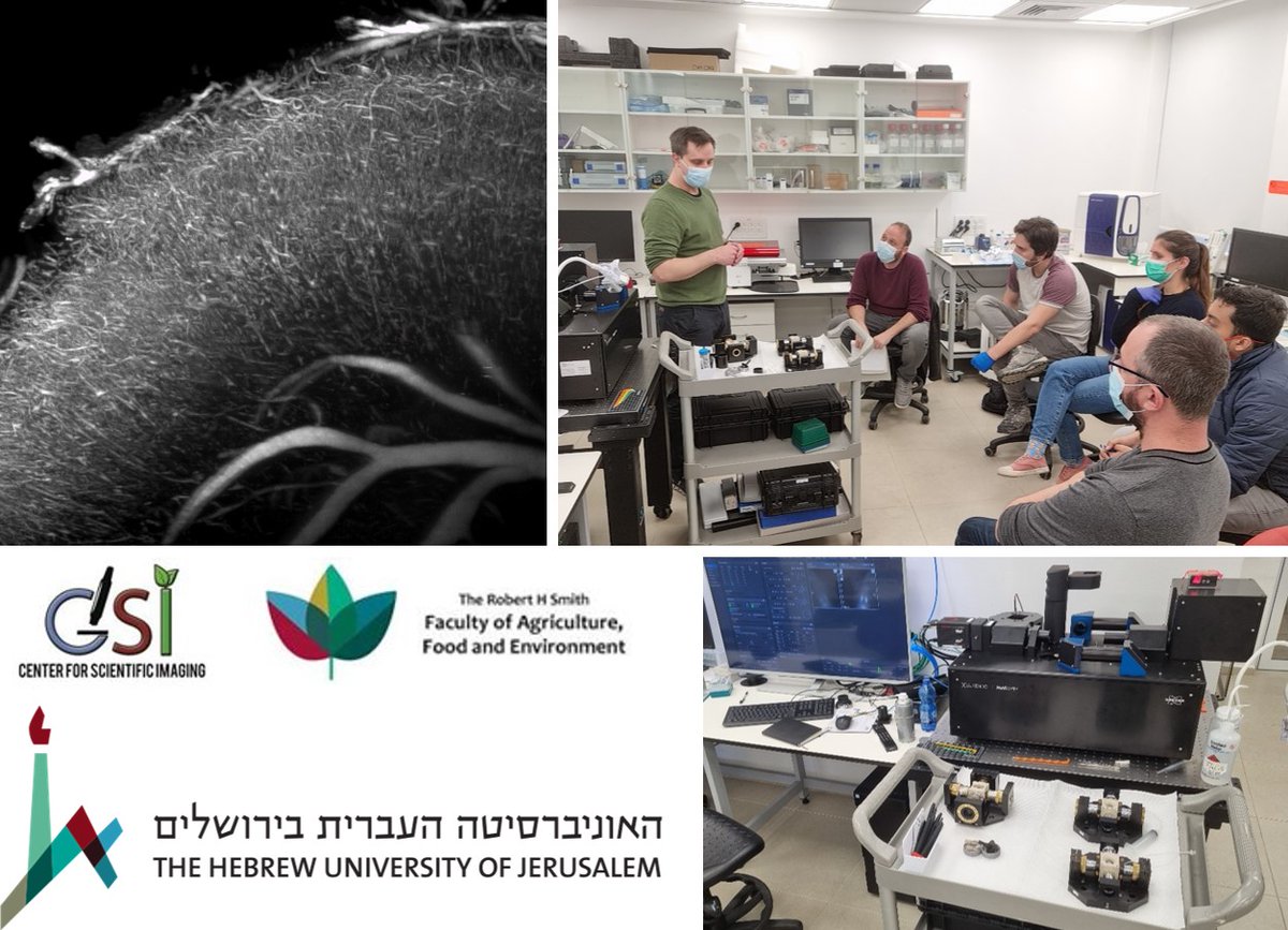 Fruitful #MuVi Light-Sheet user training at the Hebrew University of Jerusalem by @Luxendo @Bruker @BjoernEismann. Thank you @Daniel_Wa19 for the heartfelt welcome and great workshop organization. We are looking forward to your work with the MuVi SPIM. אנחנו מאחלים לכם בהצלחה