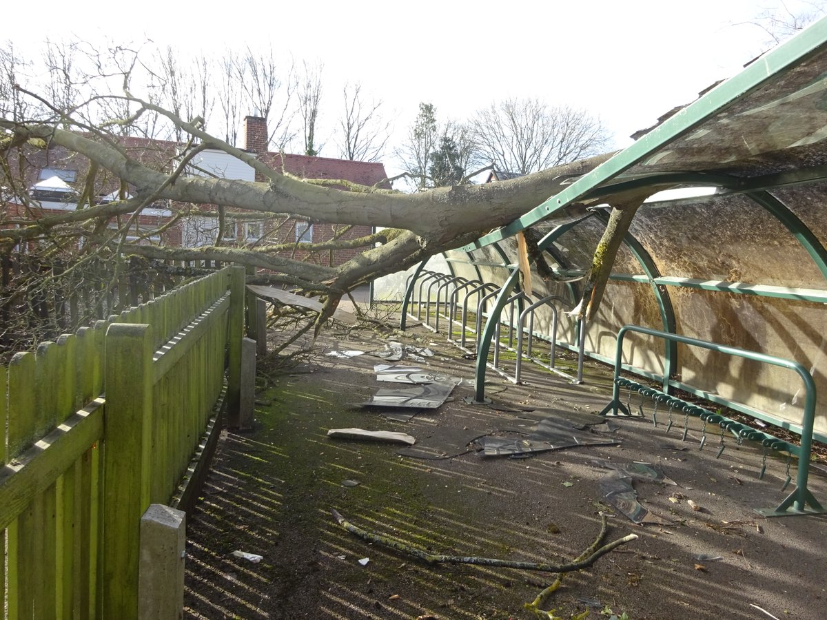 Radley CE Primary School tweet media