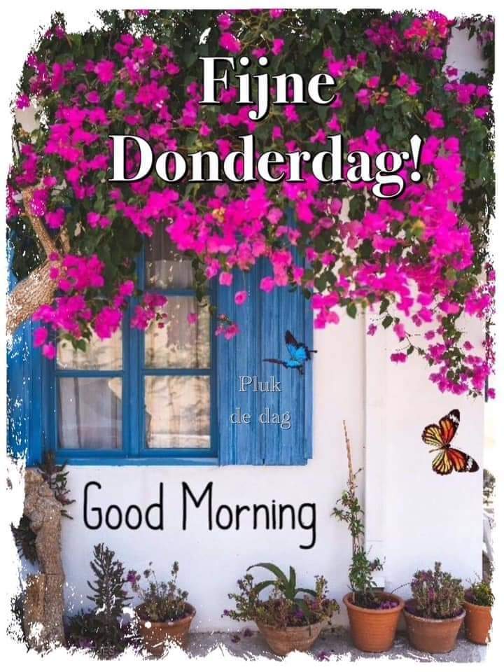 De Bruyn Chantal (@bruynchantal) on Twitter photo <a href="/szentandrassym/">🌞 Sophie S 🌴</a> <a href="/TeresaR86980558/">Teresa Roberts</a> <a href="/Titas37/">Benito -</a> @crosiglia <a href="/DerekPa30582481/">Derek Paterson</a> <a href="/MyYellowDreams2/">My Yellow Dreams</a> <a href="/HarcourtDoug/">Doug</a> <a href="/ManiarMuhammad/">Aafiny MZM</a> <a href="/Adele47018578/">Adele & Art</a> <a href="/rpskataria/">Ramphal Kataria رامپھل کٹاریا</a> <a href="/BabyGo2014/">Baby Go</a> <a href="/debratankersle1/">debra tankersley</a> @gerrinnesmac <a href="/pkamla1/">Kamla</a> <a href="/Muhamma53074277/">Engr Muhammad Naeem Khan.</a> <a href="/kalimullah2/">Kalimullah</a> <a href="/unklpetey/">UNKL PETEY JINGOIST</a> @GarauPina <a href="/putopreto799/">Carlos Domingos</a> <a href="/JeanetteJoy/">Jeanette JOY☮️</a> <a href="/maryrhoton/">Motormouth 2</a> <a href="/nighthawkgeoff/">Geoff Morris - #FBPE</a> <a href="/SKID1144/">OLIVERESKRIDGE</a> <a href="/MichelleHillie9/">Michelle@Ryder</a> <a href="/Cambuci60/">Arty</a> <a href="/B_D_Jha/">B D Jha</a> <a href="/PSeabra52/">Parrot seabra52</a> <a href="/CarlosD55587122/">Carlos Domingos</a> <a href="/NinePetanque/">françoise</a> <a href="/salahsa62527100/">Kamal Ali</a> <a href="/loveGoldenHeart/">💛Christina Goebel, M.A.</a> <a href="/QL1wBZCUsCudbqm/">バイク</a> @BarbaraLoraineN <a href="/duabusan/">Alberto</a> <a href="/CarlosD98904330/">Carlos Domingos</a> <a href="/pemamasih1/">Pema@masih</a> <a href="/kelebek_mavi10/">🦋KelebeK🦋</a> <a href="/663Renegade/">Anna</a> <a href="/VanCity6042/">🇨🇦🇨🇦VanCity-604🇨🇦🇨🇦</a> <a href="/LudmilaKliegl/">Ludmila Kliegl..*( Lida)</a> <a href="/time_tested123/">HK</a> @WhatYouWantNowU @helensmomma <a href="/Castle_Peach/">Peaches 🏳️🌈</a> <a href="/CarlosD09817179/">Carlos DOMINGOS</a> <a href="/Jonspreadlove/">Jon Snow not bc I am cool but bc I KNOW NOTHING</a> <a href="/CarlosD51140632/">Carlos Domingos</a> <a href="/szentandrassym/">🌞 Sophie S 🌴</a> <a href="/TeresaR86980558/">Teresa Roberts</a> <a href="/Titas37/">Benito -</a> @crosiglia <a href="/DerekPa30582481/">Derek Paterson</a> <a href="/MyYellowDreams2/">My Yellow Dreams</a> <a href="/HarcourtDoug/">Doug</a> <a href="/ManiarMuhammad/">Aafiny MZM</a> <a href="/Adele47018578/">Adele & Art</a> <a href="/rpskataria/">Ramphal Kataria رامپھل کٹاریا</a> <a href="/BabyGo2014/">Baby Go</a> <a href="/debratankersle1/">debra tankersley</a> @gerrinnesmac <a href="/pkamla1/">Kamla</a> <a href="/Muhamma53074277/">Engr Muhammad Naeem Khan.</a> <a href="/kalimullah2/">Kalimullah</a> <a href="/unklpetey/">UNKL PETEY JINGOIST</a> @GarauPina <a href="/putopreto799/">Carlos Domingos</a> <a href="/JeanetteJoy/">Jeanette JOY☮️</a> <a href="/maryrhoton/">Motormouth 2</a> <a href="/nighthawkgeoff/">Geoff Morris - #FBPE</a> <a href="/SKID1144/">OLIVERESKRIDGE</a> <a href="/MichelleHillie9/">Michelle@Ryder</a> <a href="/Cambuci60/">Arty</a> <a href="/B_D_Jha/">B D Jha</a> <a href="/PSeabra52/">Parrot seabra52</a> <a href="/CarlosD55587122/">Carlos Domingos</a> <a href="/NinePetanque/">françoise</a> <a href="/salahsa62527100/">Kamal Ali</a> <a href="/loveGoldenHeart/">💛Christina Goebel, M.A.</a> <a href="/QL1wBZCUsCudbqm/">バイク</a> @BarbaraLoraineN <a href="/duabusan/">Alberto</a> <a href="/CarlosD98904330/">Carlos Domingos</a> <a href="/pemamasih1/">Pema@masih</a> <a href="/kelebek_mavi10/">🦋KelebeK🦋</a> <a href="/663Renegade/">Anna</a> <a href="/VanCity6042/">🇨🇦🇨🇦VanCity-604🇨🇦🇨🇦</a> <a href="/LudmilaKliegl/">Ludmila Kliegl..*( Lida)</a> <a href="/time_tested123/">HK</a> @WhatYouWantNowU @helensmomma <a href="/Castle_Peach/">Peaches 🏳️🌈</a> <a href="/CarlosD09817179/">Carlos DOMINGOS</a> <a href="/Jonspreadlove/">Jon Snow not bc I am cool but bc I KNOW NOTHING</a> <a href="/CarlosD51140632/">Carlos Domingos</a>