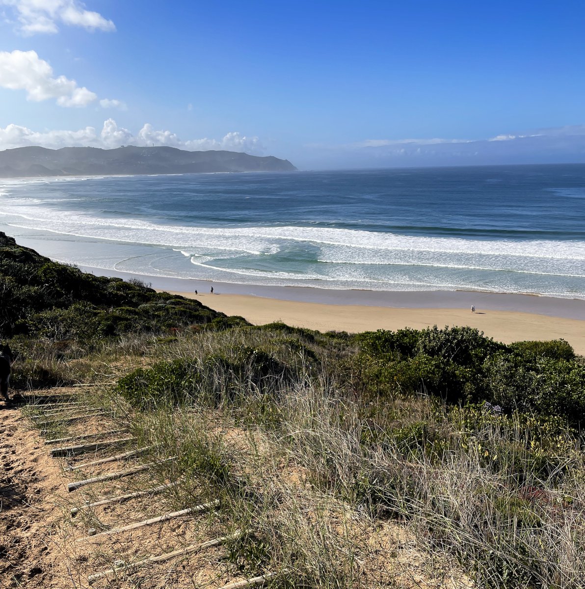 Four hikes to fall in love with 👣 Which one is your favourite? #VisitKnysna 

1. Goukamma Bushpig (6.5km) 
2 Terblans (6.5km)
3. Fisherman's Trail, Sparrebosch (5km)
4. Buffalo Bay Trail (4.5km if done in a loop)