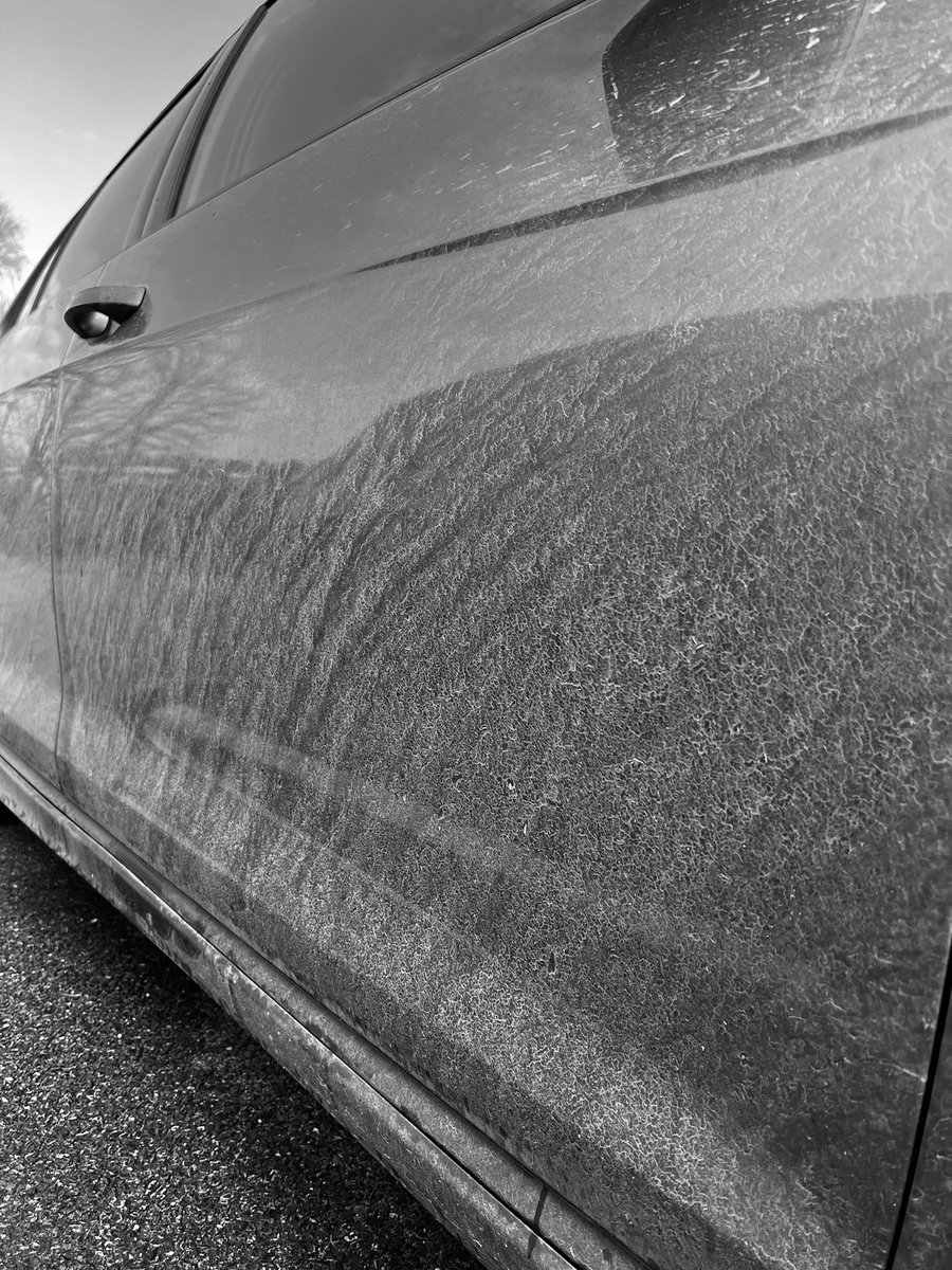 Country lane pursuit late last night from #ashburton towards #denbury led to the arrest and remand of a disqualified driver. Driver in court today