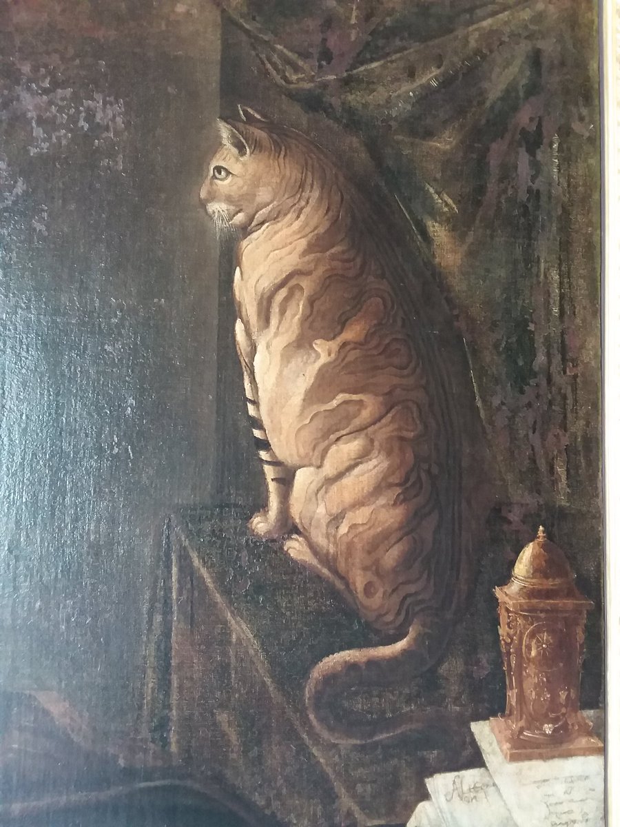 Anche Andrea Doria aveva un gatto! Il suo nome era Dragut!

#GiornataNazionaleDelGatto #giornatamondialedelgatto #BuongiornoATutti