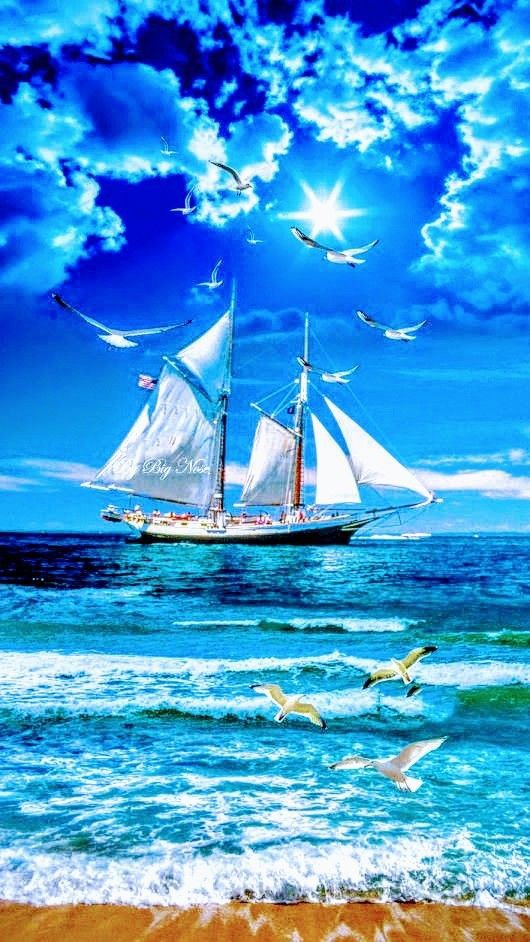 🌞 Sophie S 🌴 (@szentandrassym) on Twitter photo <a href="/Titas37/">Benito -</a> <a href="/MyYellowDreams2/">My Yellow Dreams</a> <a href="/TeresaR86980558/">Teresa Roberts</a> <a href="/HarcourtDoug/">Doug</a> <a href="/ManiarMuhammad/">Aafiny MZM</a> <a href="/Adele47018578/">Adele & Art</a> <a href="/rpskataria/">Ramphal Kataria رامپھل کٹاریا</a> <a href="/BabyGo2014/">Baby Go</a> <a href="/debratankersle1/">debra tankersley</a> @gerrinnesmac <a href="/pkamla1/">Kamla</a> <a href="/Muhamma53074277/">Engr Muhammad Naeem Khan.</a> <a href="/kalimullah2/">Kalimullah</a> <a href="/unklpetey/">UNKL PETEY JINGOIST</a> @crosiglia @GarauPina <a href="/putopreto799/">Carlos Domingos</a> <a href="/BruynChantal/">De Bruyn Chantal</a> <a href="/JeanetteJoy/">Jeanette JOY☮️</a> <a href="/maryrhoton/">Motormouth 2</a> <a href="/nighthawkgeoff/">Geoff Morris - #FBPE</a> <a href="/SKID1144/">OLIVERESKRIDGE</a> <a href="/MichelleHillie9/">Michelle@Ryder</a> <a href="/Cambuci60/">Arty</a> <a href="/B_D_Jha/">B D Jha</a> <a href="/PSeabra52/">Parrot seabra52</a> <a href="/DerekPa30582481/">Derek Paterson</a> <a href="/CarlosD55587122/">Carlos Domingos</a> <a href="/NinePetanque/">françoise</a> <a href="/salahsa62527100/">Kamal Ali</a> <a href="/loveGoldenHeart/">💛Christina Goebel, M.A.</a> <a href="/QL1wBZCUsCudbqm/">バイク</a> @BarbaraLoraineN <a href="/duabusan/">Alberto</a> <a href="/CarlosD98904330/">Carlos Domingos</a> <a href="/pemamasih1/">Pema@masih</a> <a href="/kelebek_mavi10/">🦋KelebeK🦋</a> <a href="/663Renegade/">Anna</a> <a href="/VanCity6042/">🇨🇦🇨🇦VanCity-604🇨🇦🇨🇦</a> <a href="/LudmilaKliegl/">Ludmila Kliegl..*( Lida)</a> <a href="/time_tested123/">HK</a> @WhatYouWantNowU @helensmomma <a href="/Castle_Peach/">Peaches 🏳️🌈</a> <a href="/CarlosD09817179/">Carlos DOMINGOS</a> <a href="/Jonspreadlove/">Jon Snow not bc I am cool but bc I KNOW NOTHING</a> <a href="/CarlosD51140632/">Carlos Domingos</a> Magnificent 🌹 Merci
Sunshine Morning Happy Thursday dear
<a href="/Titas37/">Benito -</a>
<a href="/MyYellowDreams2/">My Yellow Dreams</a> and all
Friends 🍀🌷🍀
Blessings & much Love
🌿💕🌿 <a href="/Titas37/">Benito -</a> <a href="/MyYellowDreams2/">My Yellow Dreams</a> <a href="/TeresaR86980558/">Teresa Roberts</a> <a href="/HarcourtDoug/">Doug</a> <a href="/ManiarMuhammad/">Aafiny MZM</a> <a href="/Adele47018578/">Adele & Art</a> <a href="/rpskataria/">Ramphal Kataria رامپھل کٹاریا</a> <a href="/BabyGo2014/">Baby Go</a> <a href="/debratankersle1/">debra tankersley</a> @gerrinnesmac <a href="/pkamla1/">Kamla</a> <a href="/Muhamma53074277/">Engr Muhammad Naeem Khan.</a> <a href="/kalimullah2/">Kalimullah</a> <a href="/unklpetey/">UNKL PETEY JINGOIST</a> @crosiglia @GarauPina <a href="/putopreto799/">Carlos Domingos</a> <a href="/BruynChantal/">De Bruyn Chantal</a> <a href="/JeanetteJoy/">Jeanette JOY☮️</a> <a href="/maryrhoton/">Motormouth 2</a> <a href="/nighthawkgeoff/">Geoff Morris - #FBPE</a> <a href="/SKID1144/">OLIVERESKRIDGE</a> <a href="/MichelleHillie9/">Michelle@Ryder</a> <a href="/Cambuci60/">Arty</a> <a href="/B_D_Jha/">B D Jha</a> <a href="/PSeabra52/">Parrot seabra52</a> <a href="/DerekPa30582481/">Derek Paterson</a> <a href="/CarlosD55587122/">Carlos Domingos</a> <a href="/NinePetanque/">françoise</a> <a href="/salahsa62527100/">Kamal Ali</a> <a href="/loveGoldenHeart/">💛Christina Goebel, M.A.</a> <a href="/QL1wBZCUsCudbqm/">バイク</a> @BarbaraLoraineN <a href="/duabusan/">Alberto</a> <a href="/CarlosD98904330/">Carlos Domingos</a> <a href="/pemamasih1/">Pema@masih</a> <a href="/kelebek_mavi10/">🦋KelebeK🦋</a> <a href="/663Renegade/">Anna</a> <a href="/VanCity6042/">🇨🇦🇨🇦VanCity-604🇨🇦🇨🇦</a> <a href="/LudmilaKliegl/">Ludmila Kliegl..*( Lida)</a> <a href="/time_tested123/">HK</a> @WhatYouWantNowU @helensmomma <a href="/Castle_Peach/">Peaches 🏳️🌈</a> <a href="/CarlosD09817179/">Carlos DOMINGOS</a> <a href="/Jonspreadlove/">Jon Snow not bc I am cool but bc I KNOW NOTHING</a> <a href="/CarlosD51140632/">Carlos Domingos</a> Magnificent 🌹 Merci
Sunshine Morning Happy Thursday dear
<a href="/Titas37/">Benito -</a>
<a href="/MyYellowDreams2/">My Yellow Dreams</a> and all
Friends 🍀🌷🍀
Blessings & much Love
🌿💕🌿