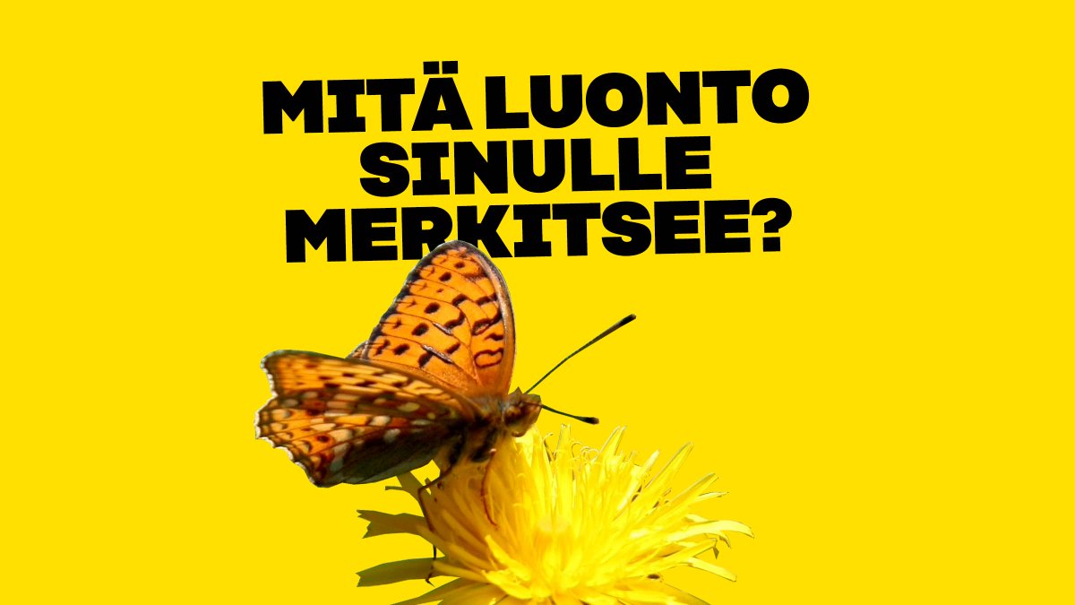 SitraFund's tweet photo. Woooo! Koossa jo ennätykselliset 128 rakentavaa luontokeskustelua #SuuriLuontodialogi-päivänä 9.3.! 

Luvassa siis suurin #erätauko-dialogipäivä koskaan. ISO kiitos kaikille järjestäjäksi ilmoittautuneille.🙏 

Ja mikä parasta: vielä ehtii mukaan!👇

https://t.co/6EBxhuM9Du https://t.co/IeGuVW5y4f