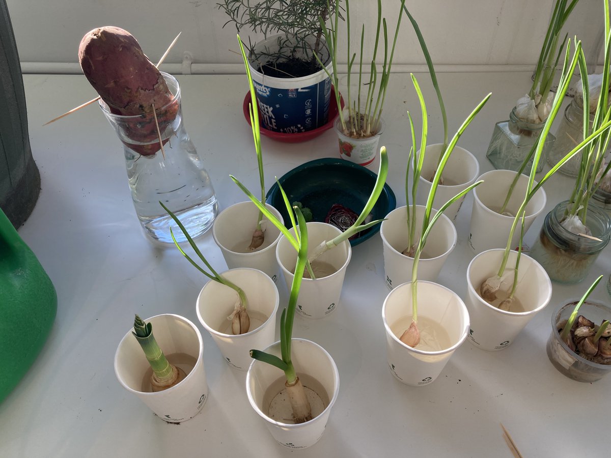 Every One Every Day tweet media