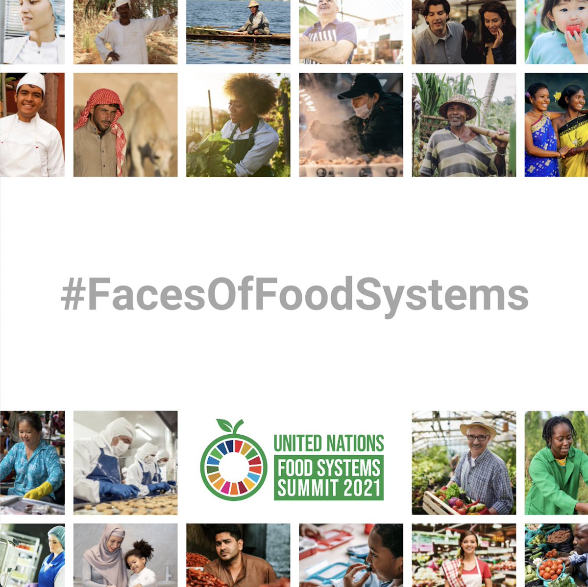 PRIMA Program Mediterranean Partnership 🇪🇺 tweet media