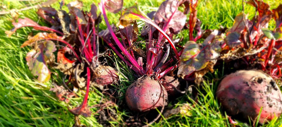 Annecy Catholic tweet media