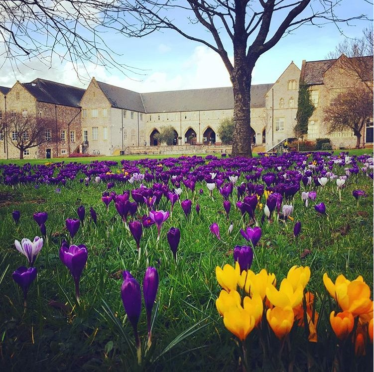 APEx (also on Blue Sky) tweet media