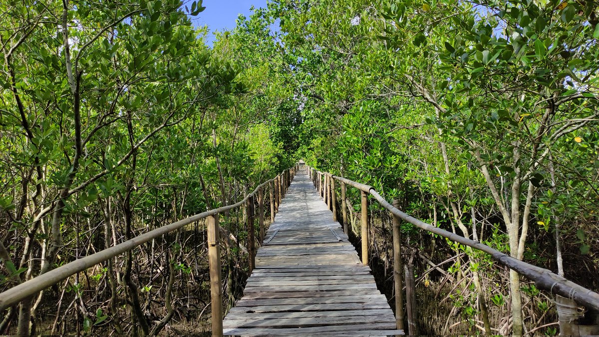 zeendrom tweet media