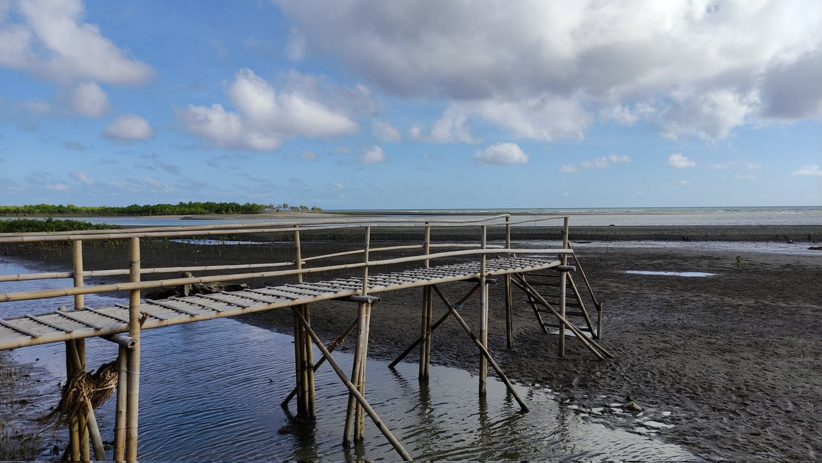 zeendrom tweet media