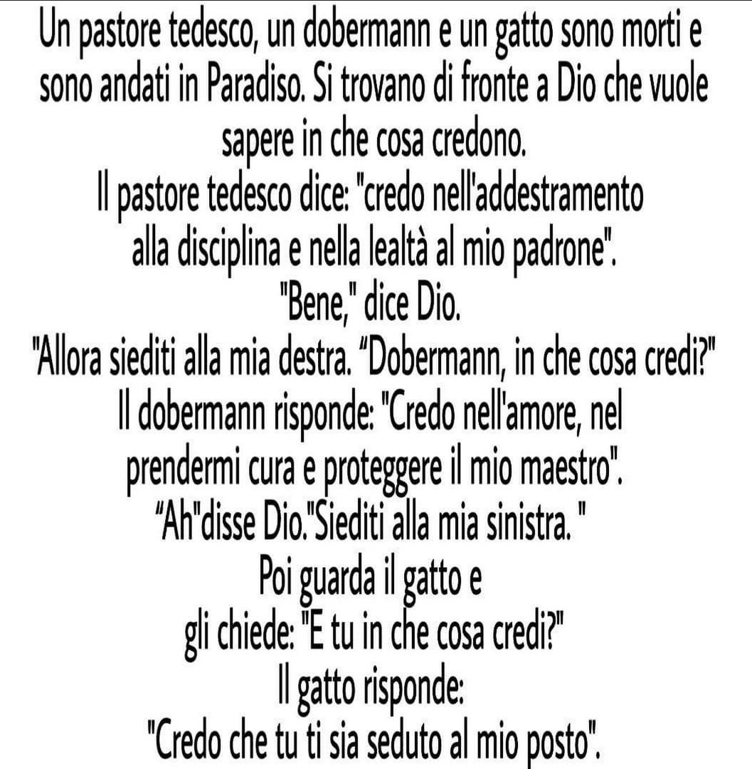 simone orati tweet media