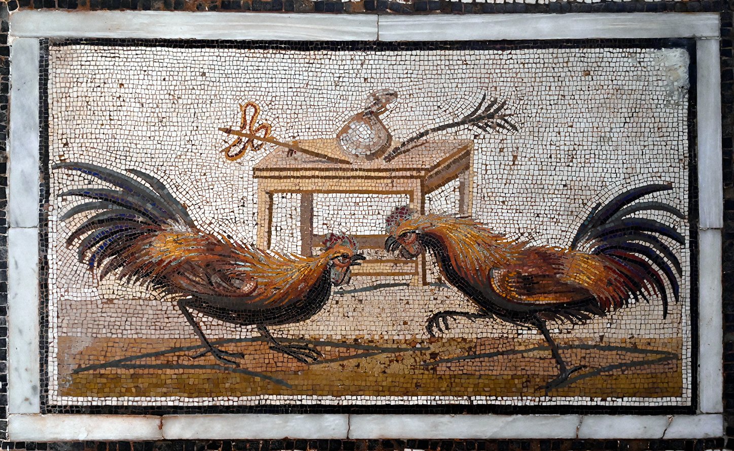 Ostia Antica HISTORY on X: "In this Roman mosaic in opus vermiculatum, two #cocks face off in front of a table displaying the purse for the winner between a caduceus and a