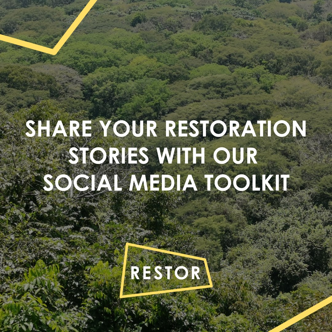 Restor_eco's tweet photo. Share your #restoration stories and help us spread the word about Restor!
Use our social media toolkit to show how you are restoring, regreening, and revegetating nature.
Access the toolkit here π https://t.co/4eqmyhkB7Y #Time2Restor https://t.co/yvUL5A2I79