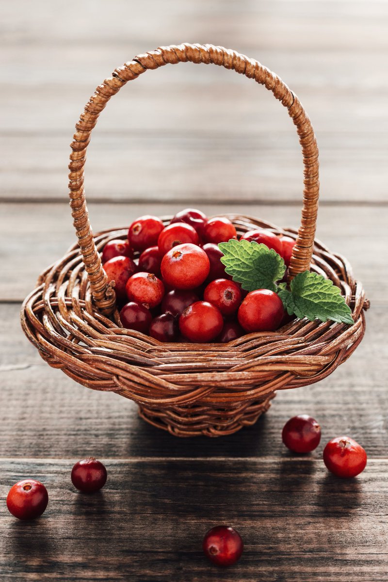 USagricultureUK's tweet photo. Cranberries are #StateoftheWeek #Wisconsin's state fruit! 59% of the nation's cranberries are produced in the state. In 2020, 4.64 million barrels were produced! π @NRCS_WI @uscranberries @TravelWI @WDNR @DiscoverWI @widatcp https://t.co/RP7k5pbMLo