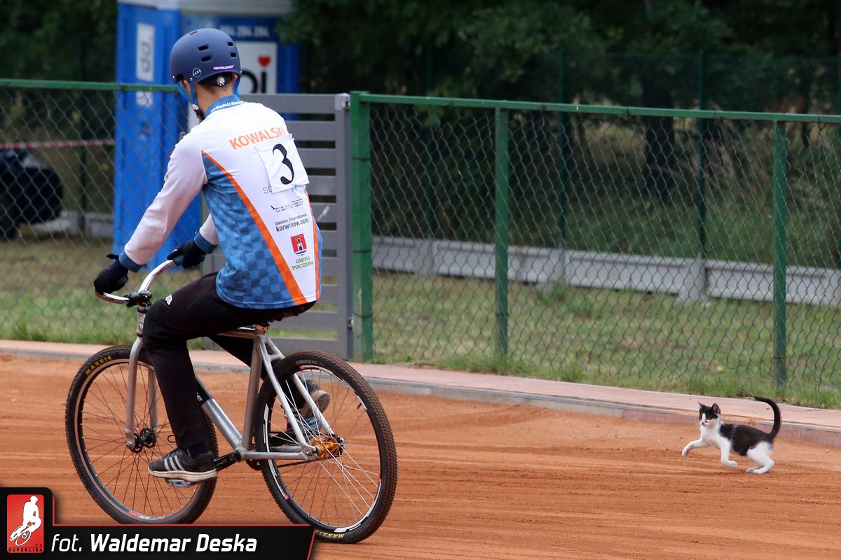 CSSuperliga's tweet photo. 📅 Dziś Światowy #DzieńKota.
Jak widać, obiekty speedrowerowe też im pasują 🐱🐈 https://t.co/ZiYqgeI1Kn