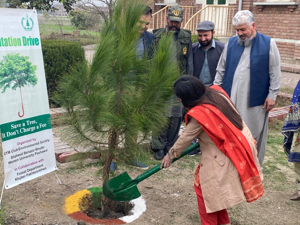 FEWDKPGovt's tweet image. #SpringPlantation Campaign  Inaugurated at Shaheed Benazir Bhutto University Pesh Forest Dvn(S- Circle, Region-I) today on Feb 2022. Gulzar ur Rehman CF South planted Chir Pine Plant.The event was also graced by Mr. Majid Saleem Director Admin, Dr.Ifqat, Dr.Rehana, Dr.Aaliyah etc