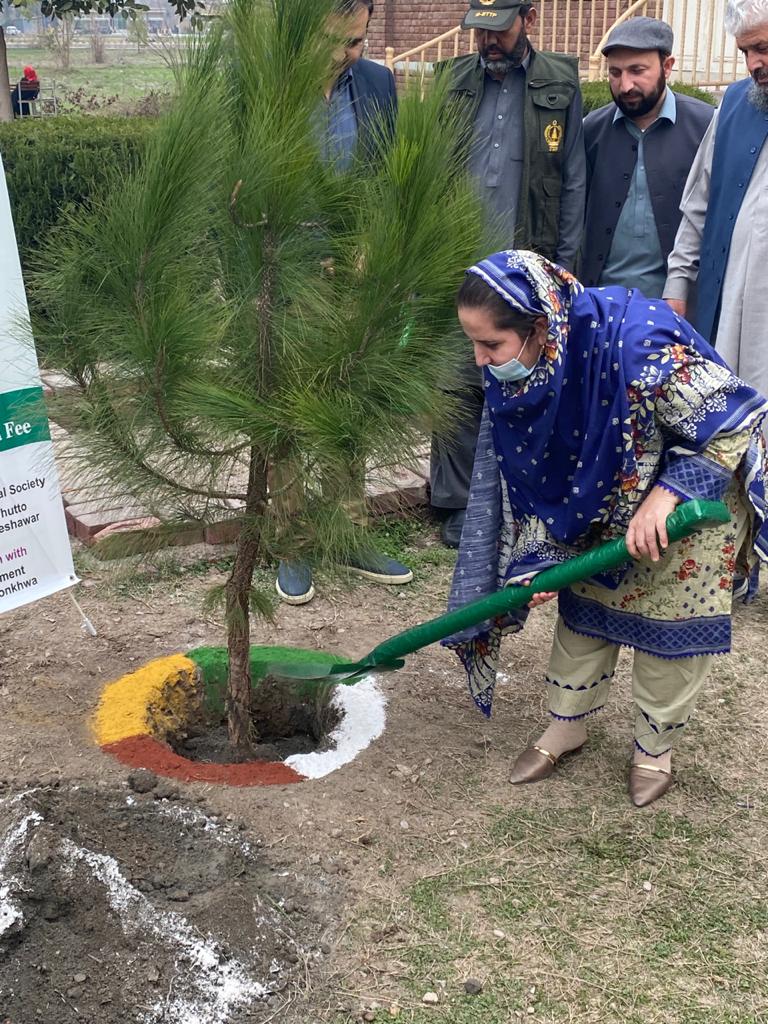 FEWDKPGovt's tweet image. #SpringPlantation Campaign  Inaugurated at Shaheed Benazir Bhutto University Pesh Forest Dvn(S- Circle, Region-I) today on Feb 2022. Gulzar ur Rehman CF South planted Chir Pine Plant.The event was also graced by Mr. Majid Saleem Director Admin, Dr.Ifqat, Dr.Rehana, Dr.Aaliyah etc