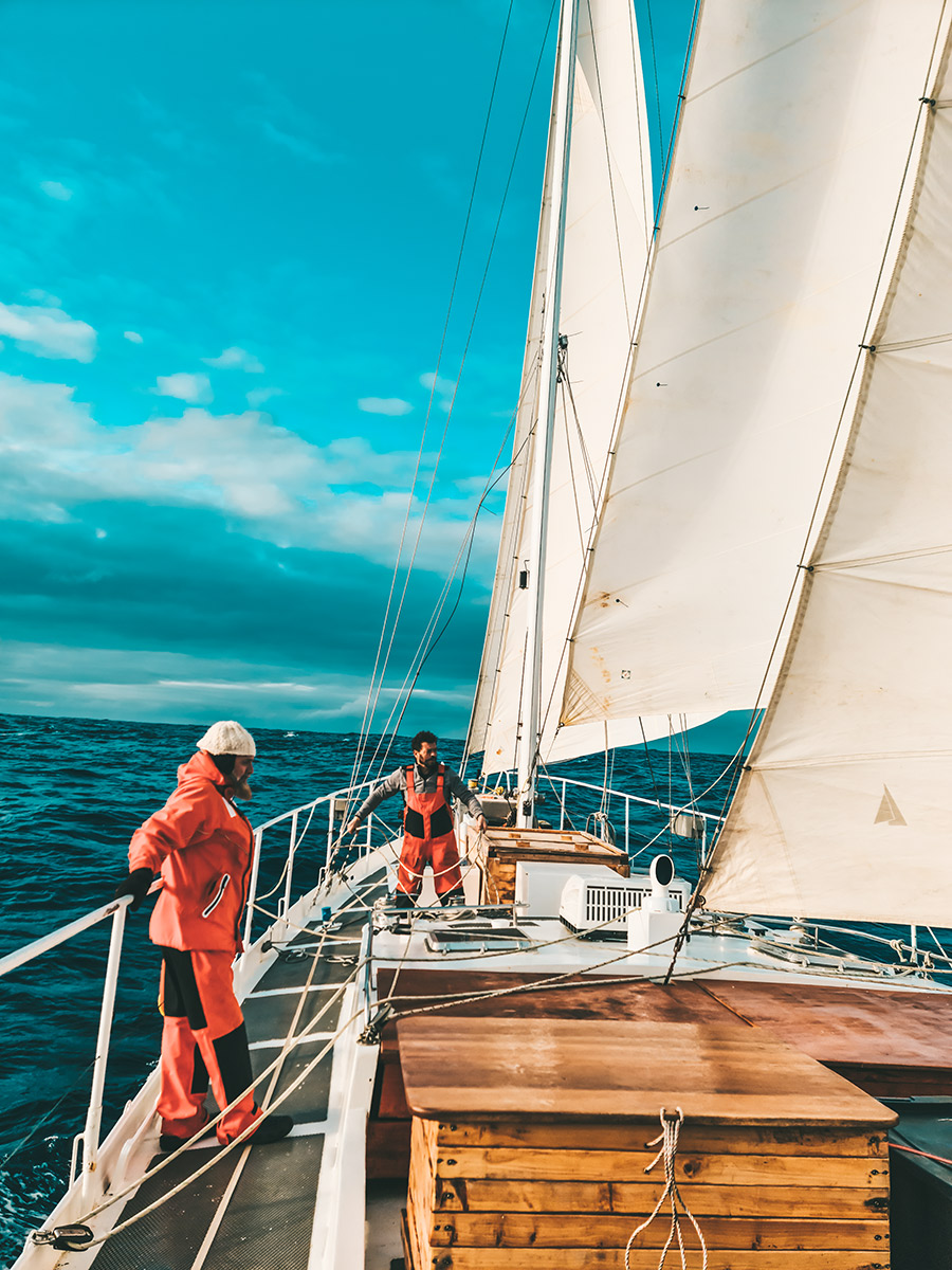 Alegría Marineros!!
Estamos navegando a vela en medio del pasaje de Drake
Actualizamos información
⬇️⬇️ El diario del Capitán ⬇️⬇️
alegriamarineros.com/llegando-en-ve…

#velero #sea #sailing #navegar  #náutica #antartida #viajes #vela #viajar #viajarporelmundo #aventura #turismodeaventura
