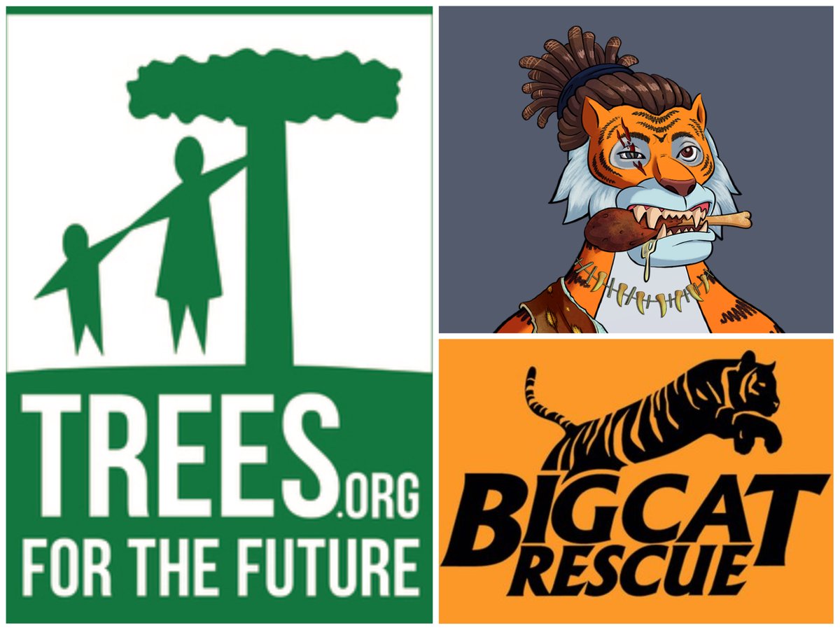 TippinTigers's tweet image. #tippintigers are inspired by Tigers, but lesser than 4000 left in the wild due to illegal hunting and loss of their forests. Details in our 🌐
They have lost 93% of their habitat😢

Hence we are donating a portion of our sale to @BigCatRescue and @Treesftf🙏
#SaveTheTigers #NFTs