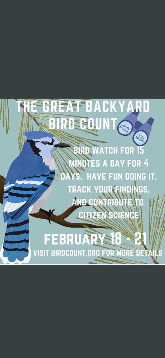 JOIN IN ON ALL THE FUN!!! You can do this outside and also sitting by a window! #birding #enviroed #citizenscience ⁦<a href="/BirdsCanada/">Birds Canada</a>⁩