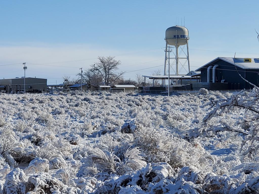 Nathan J. Wilson tweet media