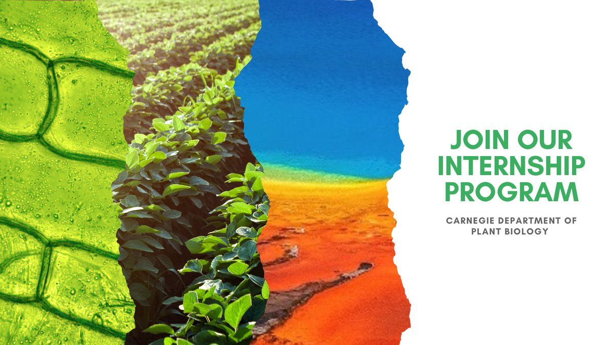 Are you an undergraduate student who loves plant biology? Come spend the summer at a dynamic department that's tackling the challenges of global sustainability across a broad range of expertise. Deadline is March 18. LEARN MORE ➡️jobs.carnegiescience.edu/jobs/2022-summ…