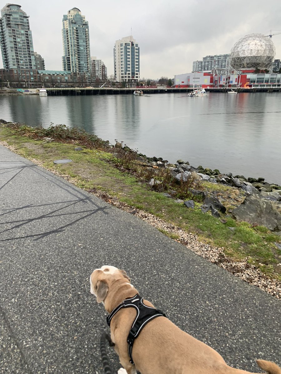 gm from Vancouver #NFTCommunity