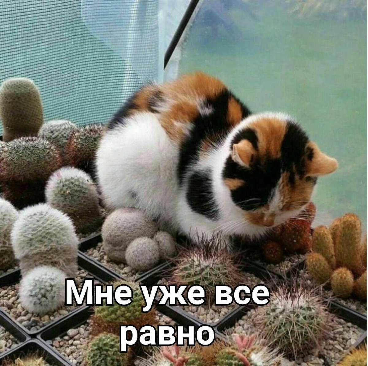 I don't care anymore