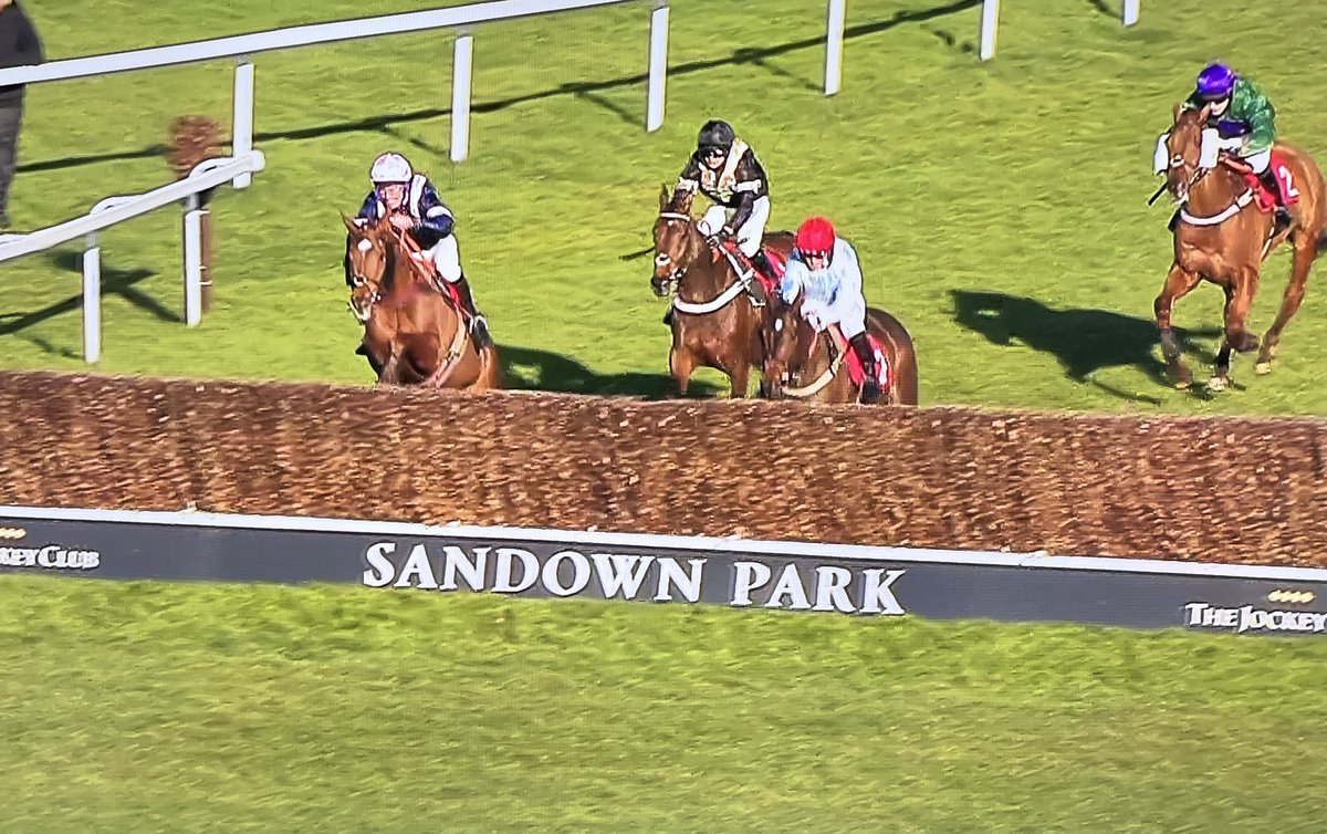 amajox's tweet photo. Congratulations @amajox #MajorCharlieOShea WINS Castell #RoyalArtillery π@Sandownpark #RollingDylan @PJHobbs1 #4ran #topride #topjock πππππ https://t.co/Uq2xuASjAf