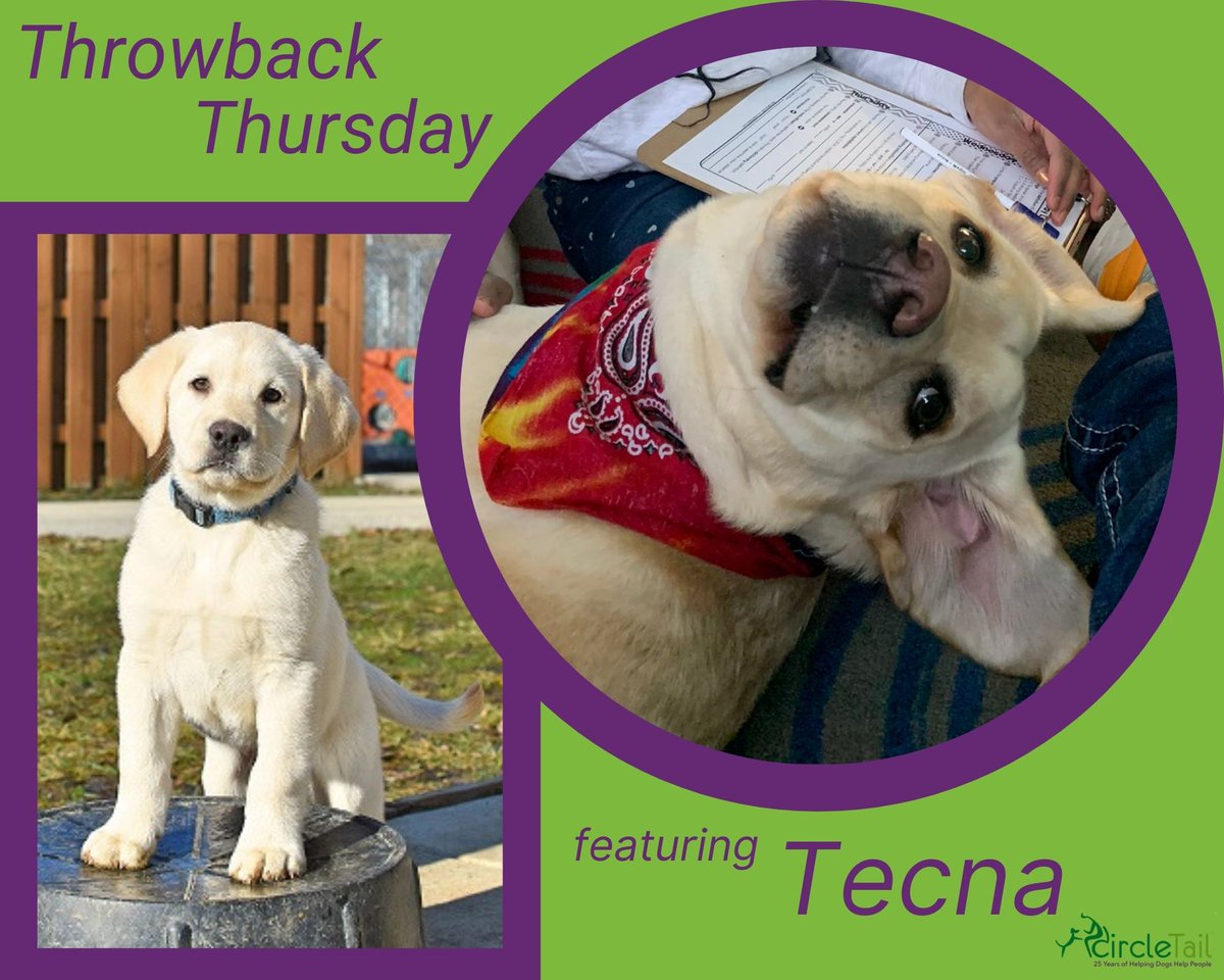 Circle Tail, Inc. tweet media