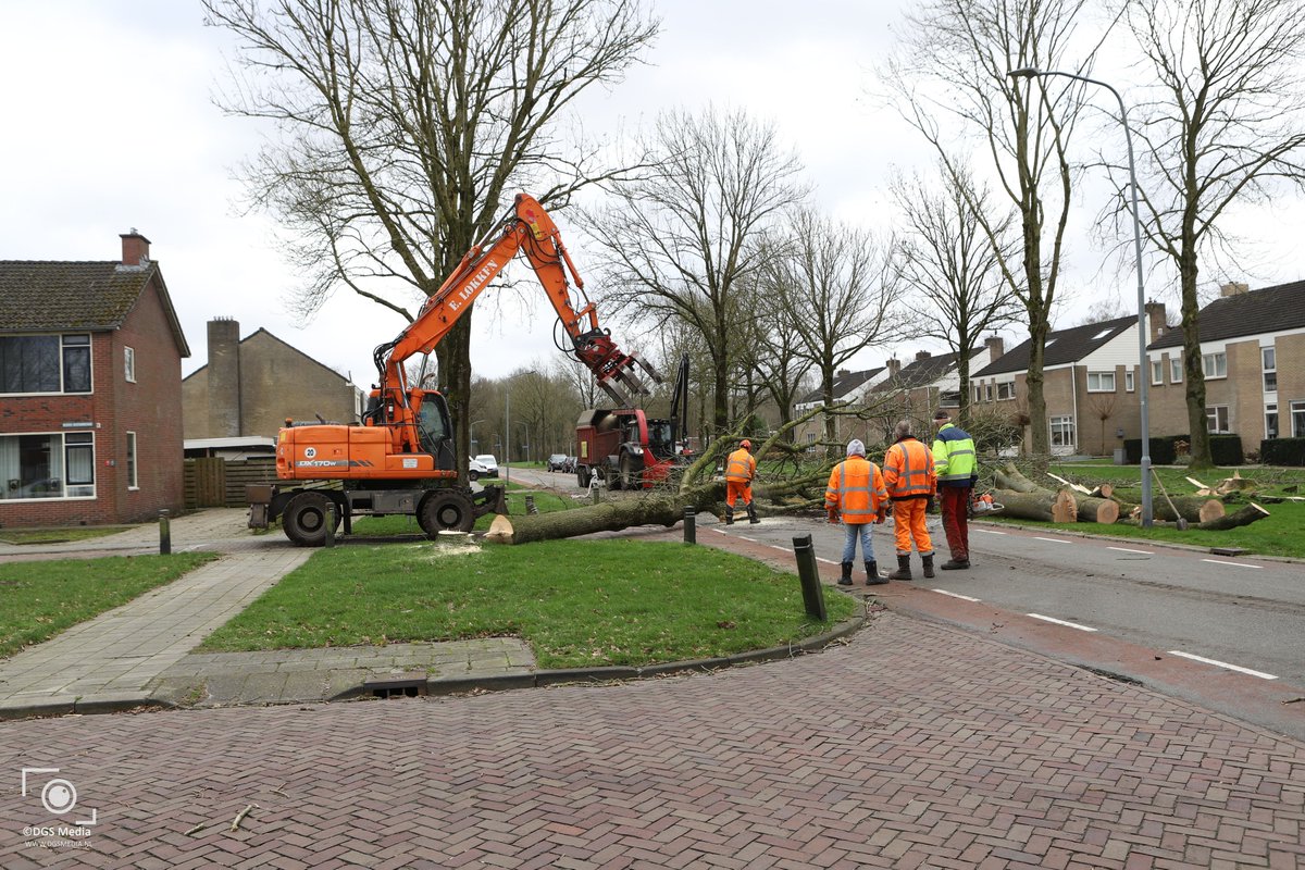 media_dgs's tweet photo. Bomen aan de #Dwarssplitting in #Stadskanaal omgezaagd vanwege storm.
Bomen waren ziek en er was gevaar voor omwaaien tegen woningen.
#Aannemer zaagt in opdracht van Gemeente @stadskanaal_nl preventief aantal bomen om, om schade te voorkomen.
Video volgt later. https://t.co/RE0HvQrD2i