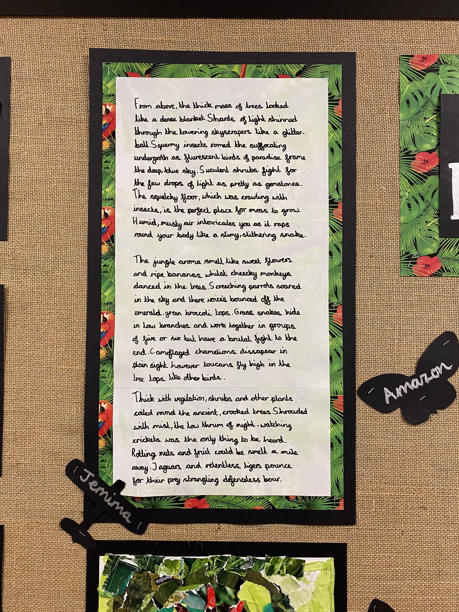 Roundhay School Y5 tweet media