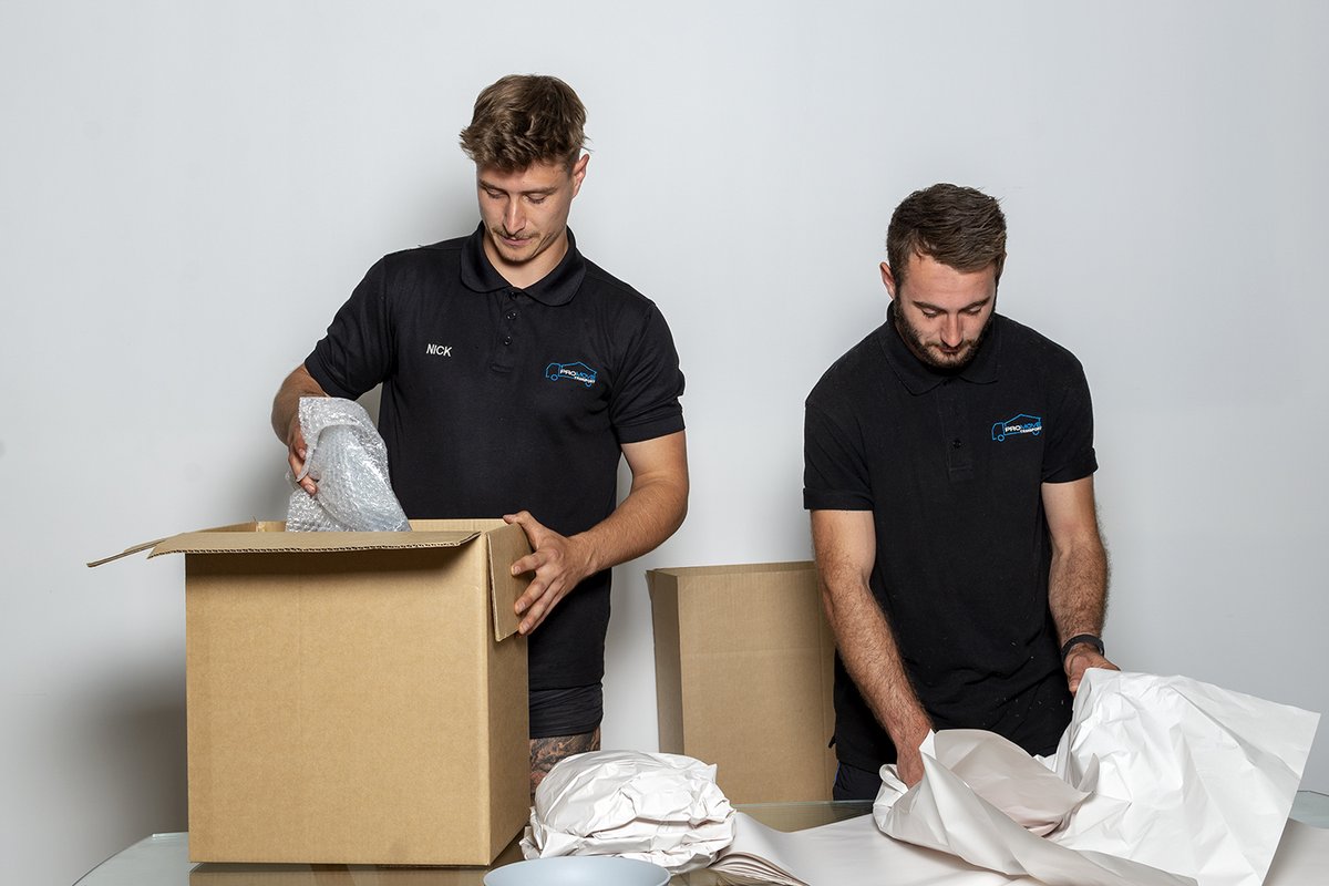 stacyharmon273's tweet photo. If you are looking for the Professional #Movers in Melbourne, look no further than #ProMoveTransport. We are a professional #removalist company specialising in #relocation services, logistics and packing Services. Call 0433 541 997 for more information. https://t.co/Zt3QglEWwf https://t.co/btox9ZbFXO